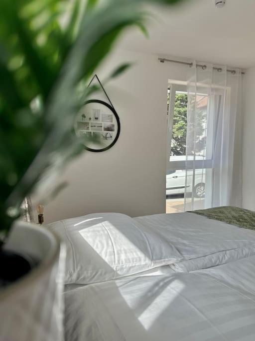 Amao-Pearl I Comfort Suite I 94Qm I Kingsize-Bett I Exklusiv Mit Balkon & Tiefgarage I Aufzug オフェンブルク エクステリア 写真